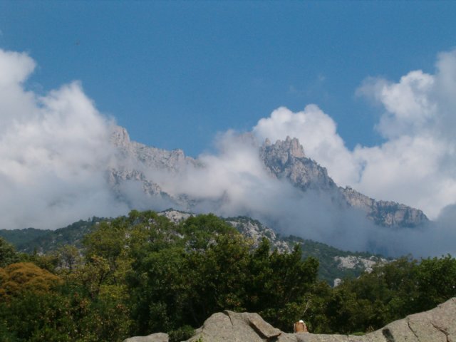 Photograph