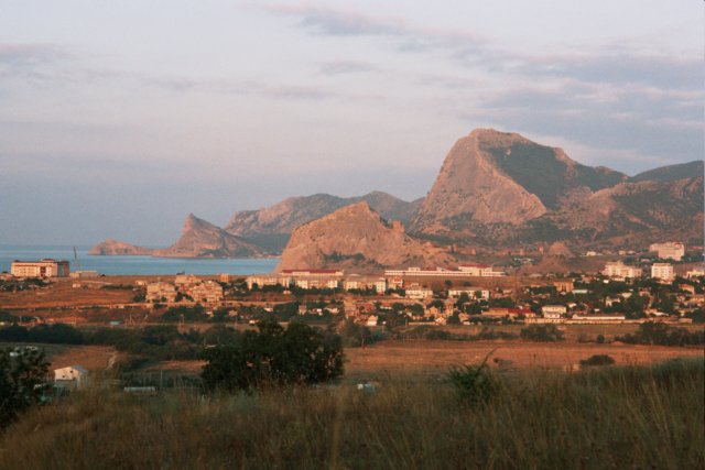 Photograph
