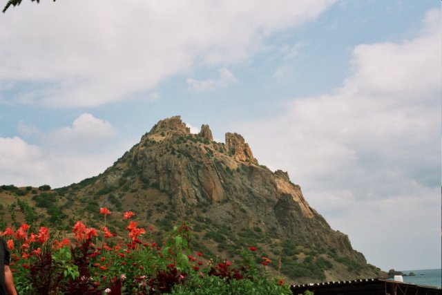 Photograph